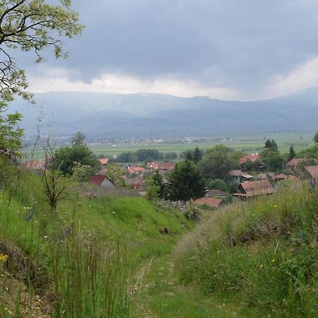 Birdsong Cottage - Peaceful Country Retreat Păuleni-Ciuc Exterior photo