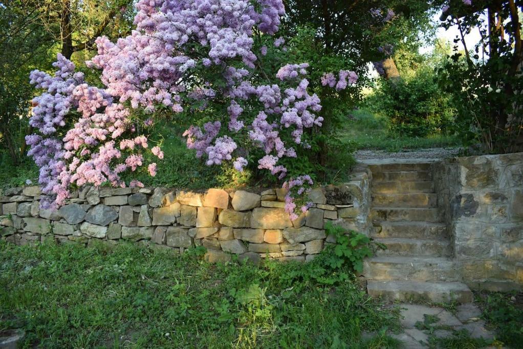 Birdsong Cottage - Peaceful Country Retreat Păuleni-Ciuc Exterior photo