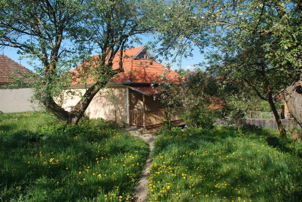 Birdsong Cottage - Peaceful Country Retreat Păuleni-Ciuc Exterior photo