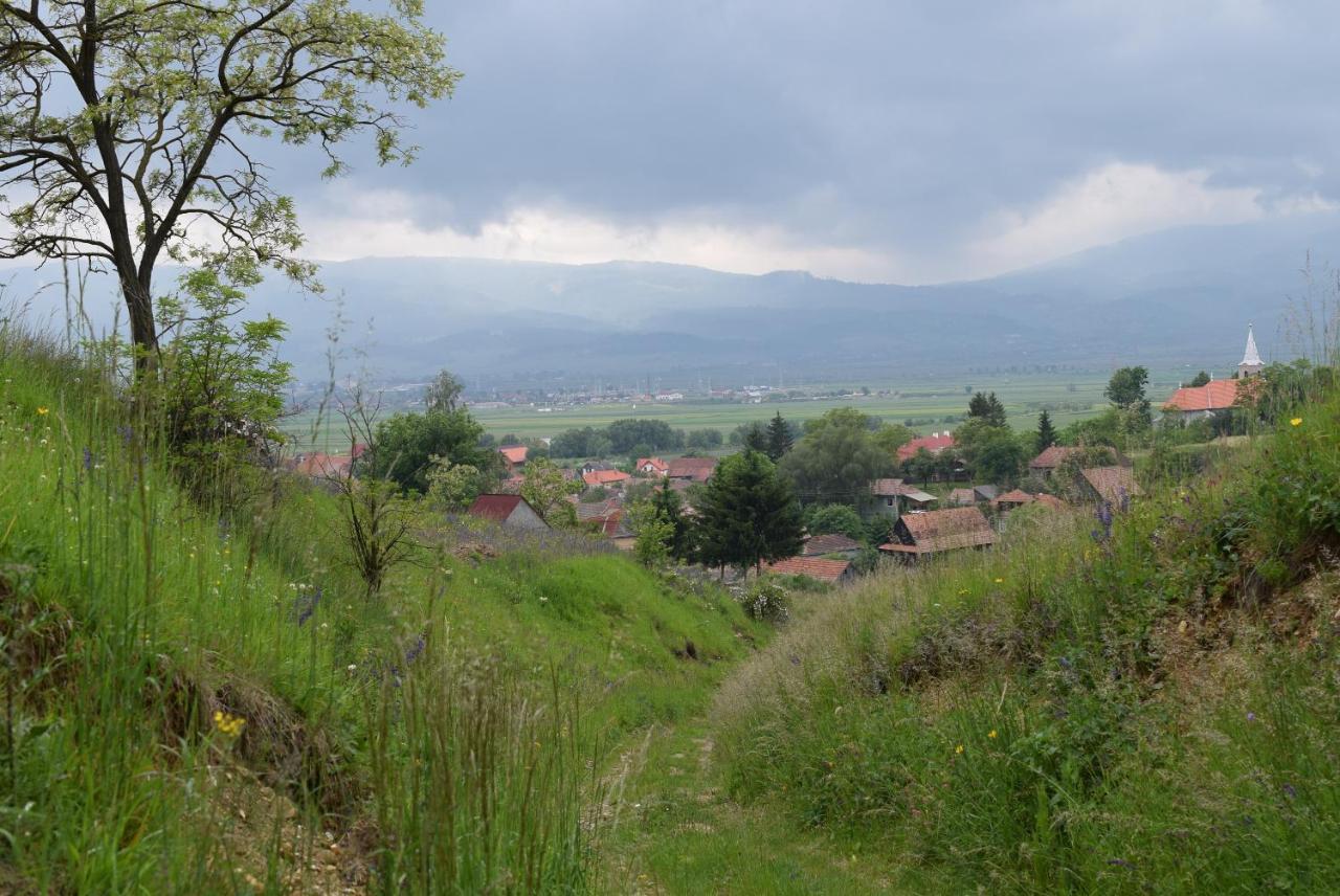 Birdsong Cottage - Peaceful Country Retreat Păuleni-Ciuc Exterior photo
